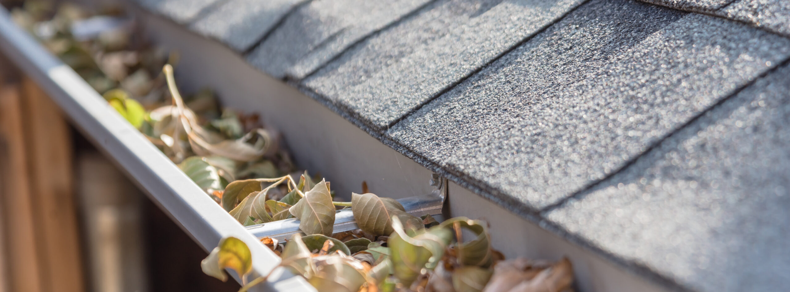How often to clean out gutter systems